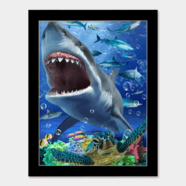 Shark Tank Matte