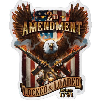 2nd Amendment Attack Eagle Ar15